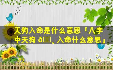 天狗入命是什么意思「八字中天狗 🕸 入命什么意思」